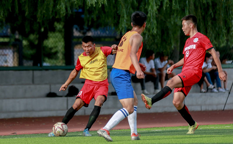 舍甫琴科：我热爱圣西罗，收购它对米兰和意大利足球都很重要